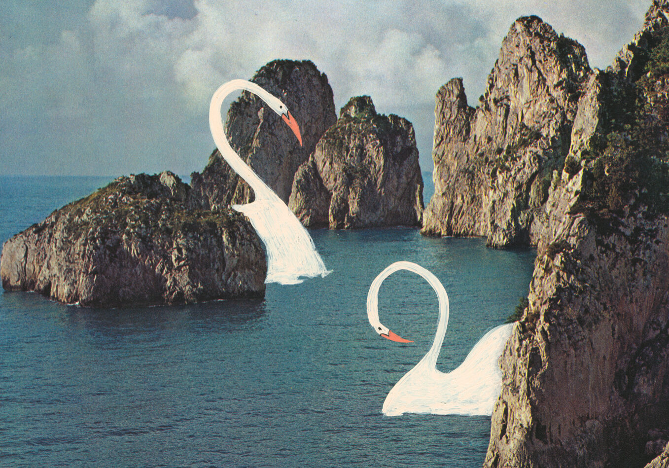 Two painted swans floating on a photo of an ocean's rocky coast